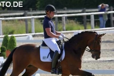 Zulassung 2. Sichtung Weltmeisterschaft Zulassung 2. Sichtung Weltmeisterschaft