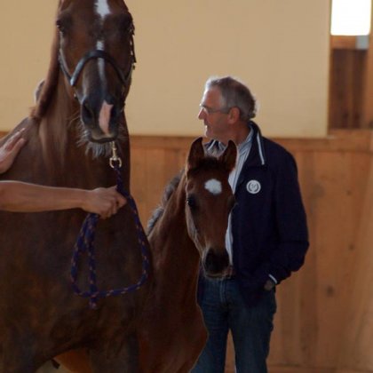 Wallach von Danone
